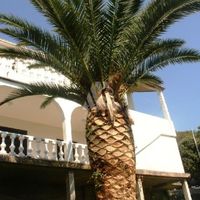 Дом в пригороде в Черногории, Бар, Добра Вода, 195 кв.м.