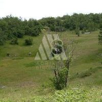 Land plot in the mountains, in the forest in Montenegro, Niksic