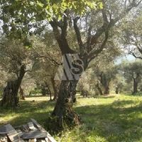 Land plot in Montenegro, Bar