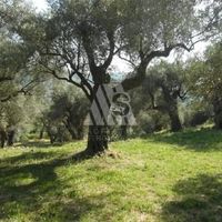 Land plot in Montenegro, Bar