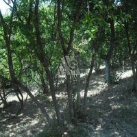 Земельный участок в пригороде в Черногории, Бар