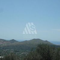 Land plot in the big city in Montenegro, Bar