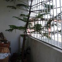 Flat in the big city in Montenegro, Bar, 76 sq.m.