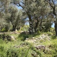 Land plot in Montenegro, Bar