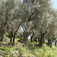 Land plot in Montenegro, Bar