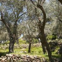 Land plot in Montenegro, Bar