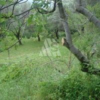 Land plot in Montenegro, Bar