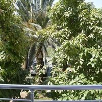 Flat in Montenegro, Bar, Sutomore, 200 sq.m.