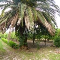 Дом в Черногории, Бар, 120 кв.м.