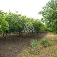 Дом в Черногории, Бар, 120 кв.м.