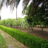 Дом в Черногории, Бар, 120 кв.м.