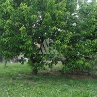 House in Montenegro, Bar, 250 sq.m.