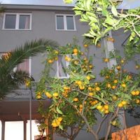 Дом в Черногории, Бар, Добра Вода, 300 кв.м.