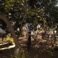 Дом в Черногории, Бар, 150 кв.м.