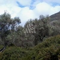 Земельный участок в Черногории, Бар