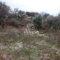 Дом в Черногории, Будва, Пржно, 300 кв.м.