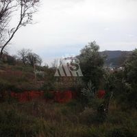 Дом в Черногории, Будва, Пржно, 300 кв.м.