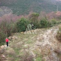 Дом в Черногории, Будва, Пржно, 300 кв.м.