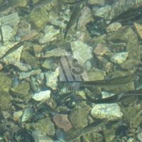 Дом у озера в Черногории, Тиват, Радовичи, 219 кв.м.