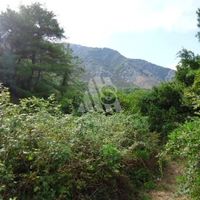 Land plot by the lake in Montenegro, Kotor, Perast
