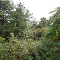 Земельный участок у озера в Черногории, Котор, Пераст