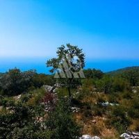 Земельный участок в Черногории, Будва, Пржно