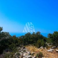 Земельный участок в Черногории, Будва, Пржно