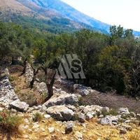 Земельный участок в Черногории, Будва, Пржно