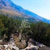 Земельный участок в Черногории, Будва, Пржно