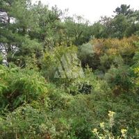 Земельный участок в Черногории, Котор, Пераст