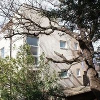 Дом в пригороде в Черногории, Бар, Сутоморе, 218 кв.м.