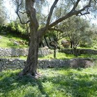 Земельный участок в Черногории, Бар