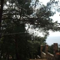 Земельный участок в Черногории, Бар