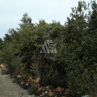 Земельный участок в Черногории, Бар, Утеха