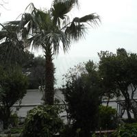 House in Montenegro, Bar, 350 sq.m.