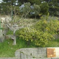 House in Montenegro, Bar, 350 sq.m.