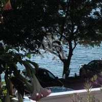 House in Montenegro, Bar, 350 sq.m.