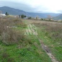 Other commercial property in Montenegro, Bar