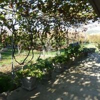 House in Montenegro, Bar, 200 sq.m.