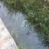 House in Montenegro, Bar, 69 sq.m.