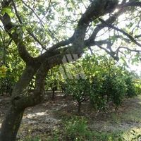 Land plot in Montenegro, Bar