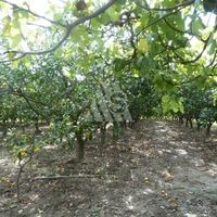 Land plot in Montenegro, Bar