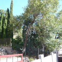 Дом в Черногории, Бар, Сутоморе, 165 кв.м.