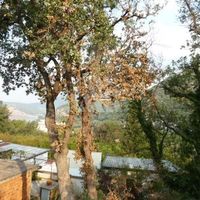 Дом в Черногории, Бар, Сутоморе, 57 кв.м.