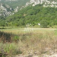 Земельный участок в Черногории, Будва, Пржно