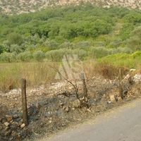 Земельный участок в Черногории, Будва, Пржно