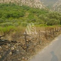 Земельный участок в Черногории, Будва, Пржно