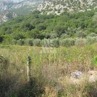 Земельный участок в Черногории, Будва, Пржно