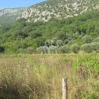 Земельный участок в Черногории, Будва, Пржно