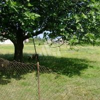 House in Montenegro, Bar, 83 sq.m.